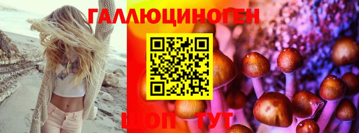 Галлюциногенные грибы мухоморы Солнечногорск